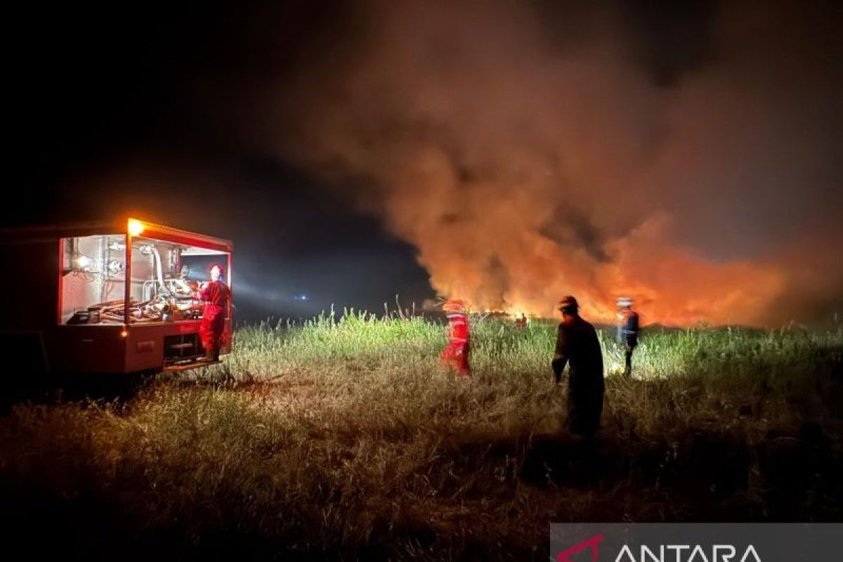 PHR dan Stakeholders Berhasil Padamkan Api, Siaga Karhutla di Rokan Hilir