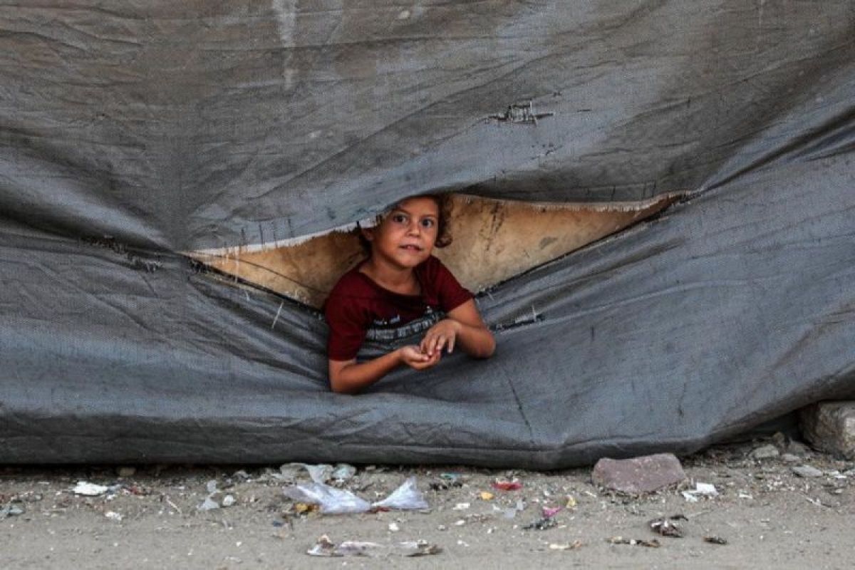 Dalam 24 jam 95 warga Gaza tewas saat tunggu bantuan