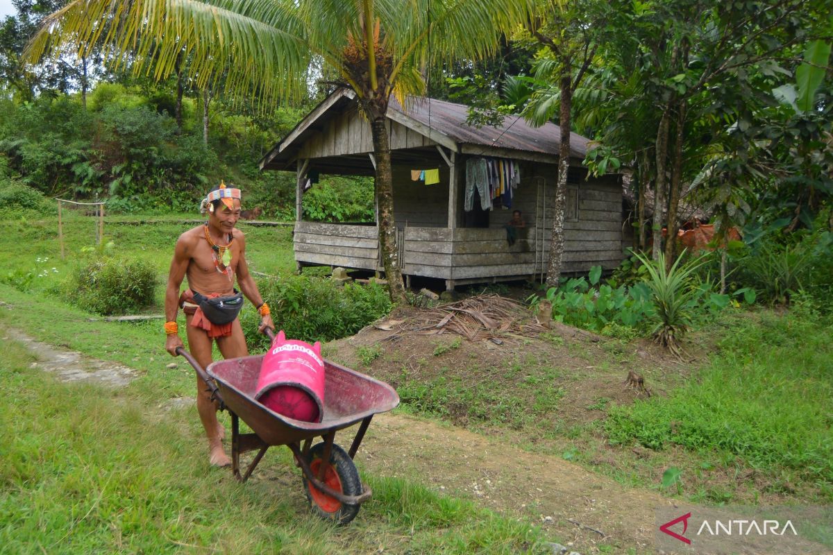 Jalan panjang Si Merah Muda ke pedalaman Mentawai