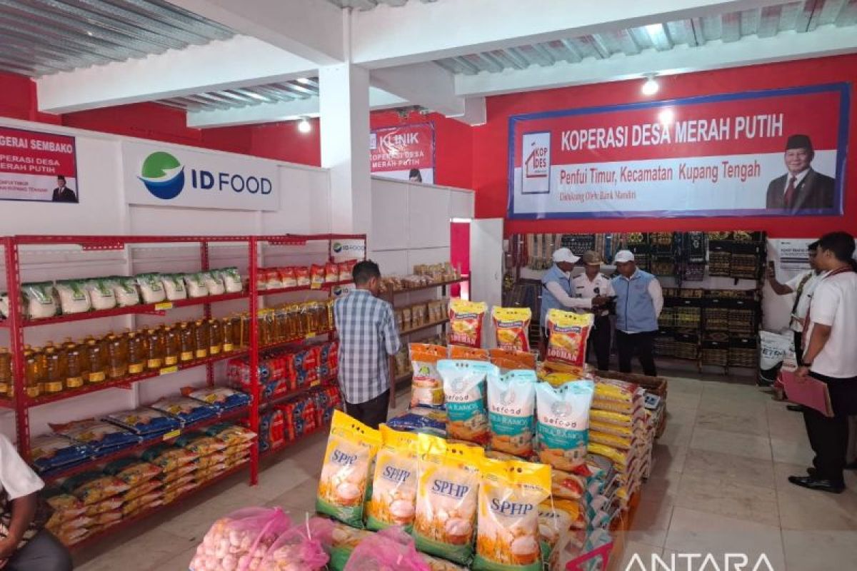 Sektor peternakan salah satu produk utama Kopdes Merah Putih di Kabupaten Kupang