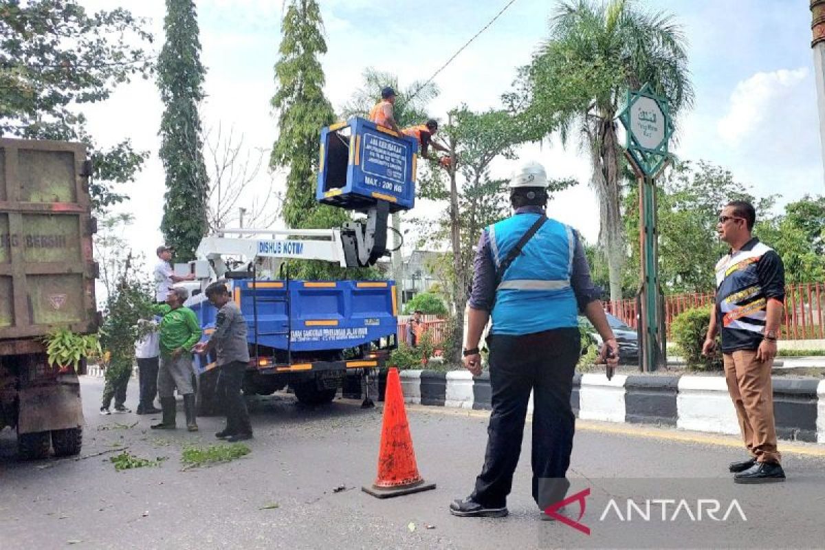 Dishub Kotim pangkas pohon demi keselamatan pengendara