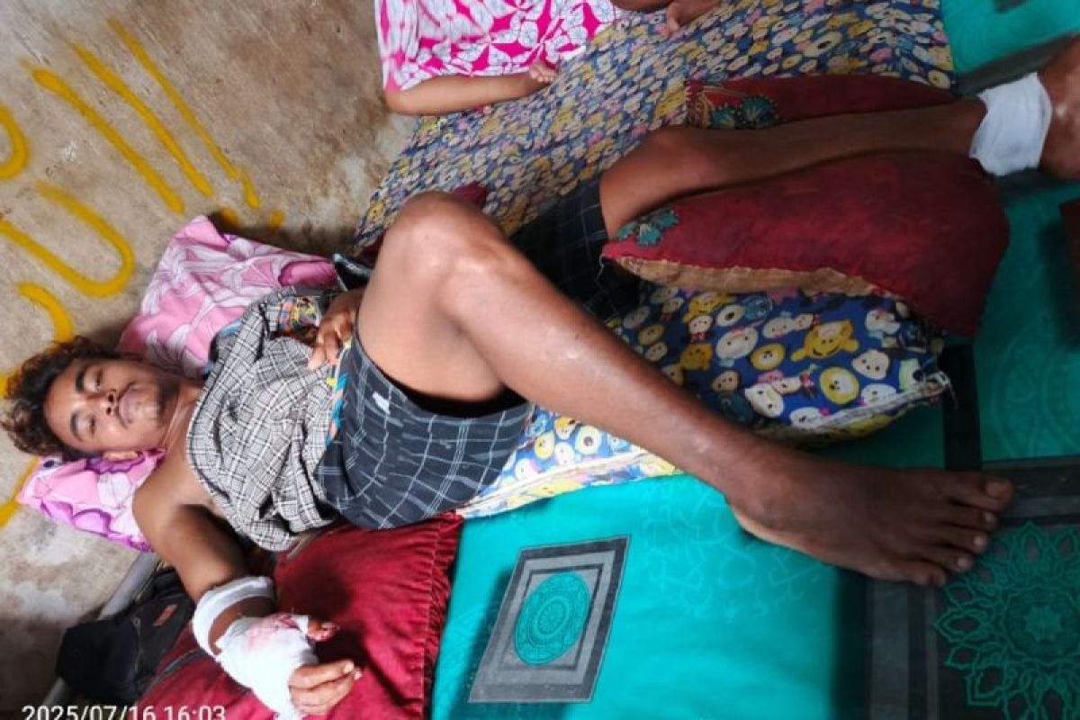 Dua pekerja sawit di Kotim diserang beruang madu saat bekerja