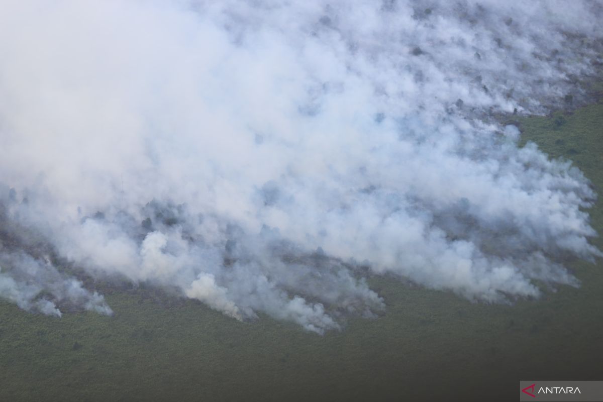 BNPB increases helicopters, continues OMC for Riau fires