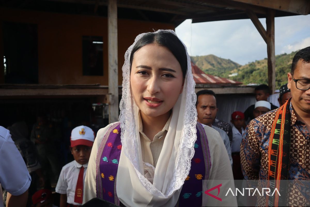 Wamendag:  Tarif impor AS 19 persen prestasi membanggakan