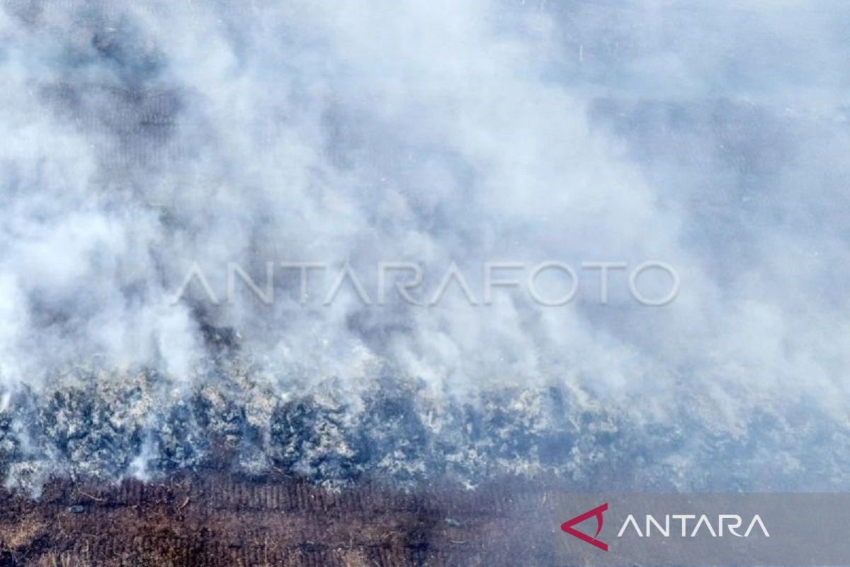 Terkendala sumber air, karhutla Muaro Jambi belum bisa dipadamkan
