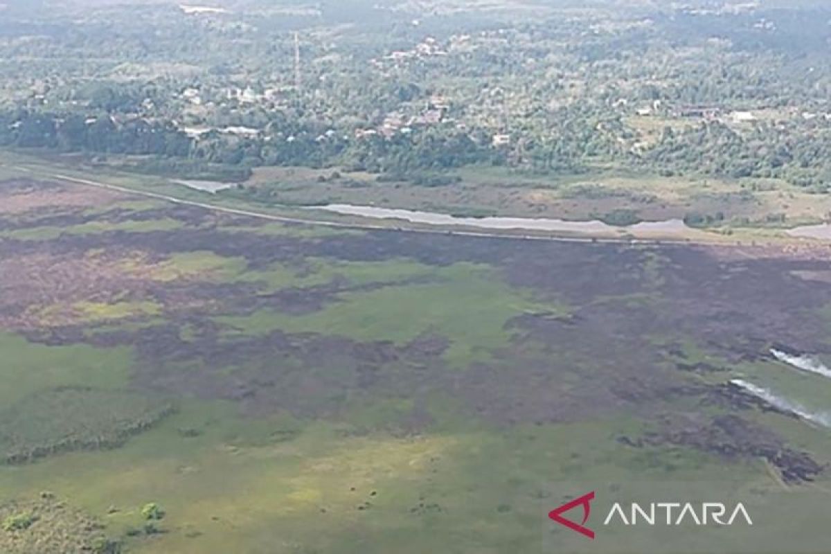 Satgas Karhutla Tanjabbar padamkan api bakar lima hektare di Betara