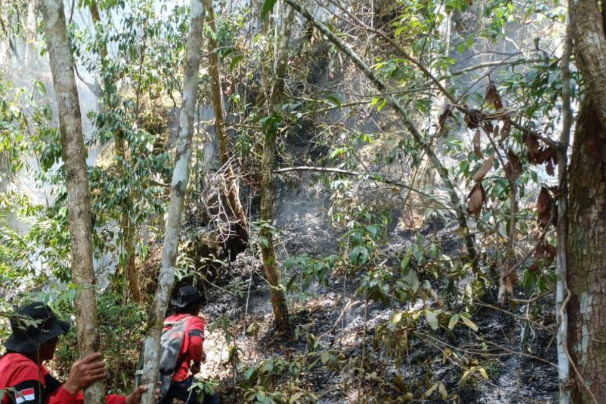 Antisipasi karhutla di Simalungun meluas, TPL dan BBKSDA Sumut lakukan ini