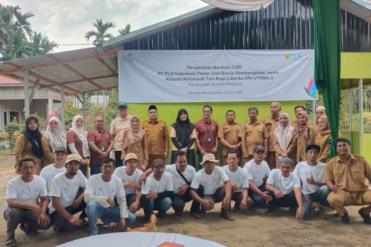 PLN IP UBP Jambi  bantu produksi petani kopi liberika Kuala Tungkal