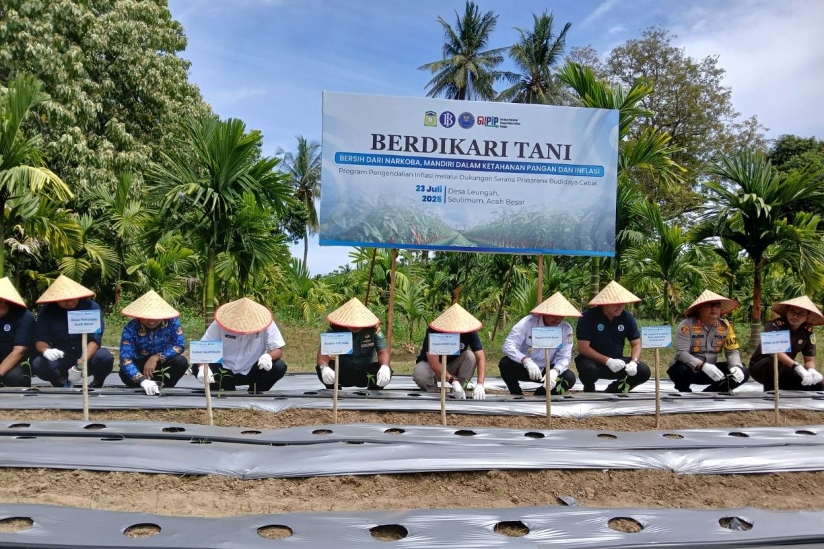 Kolaborasi BNNP dan BI Aceh ajak warga beralih tanam ganja ke cabai