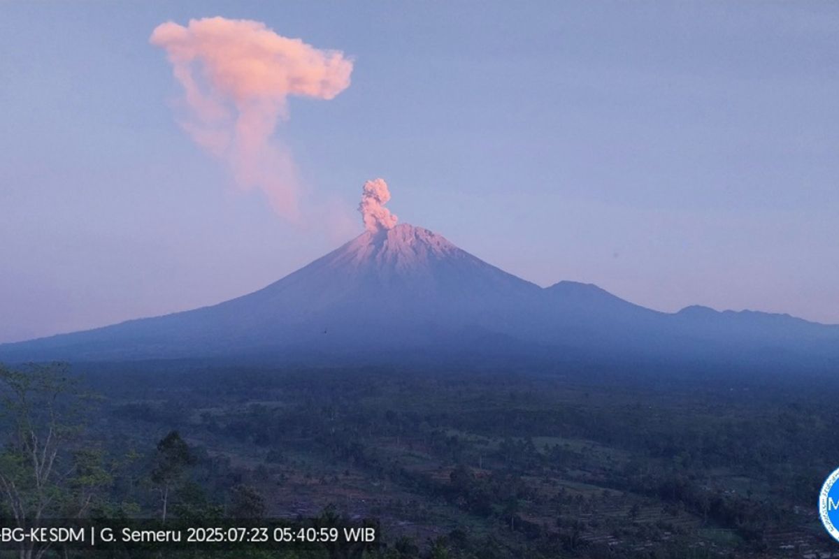 Five Semeru eruptions raise ash columns to 1,000m