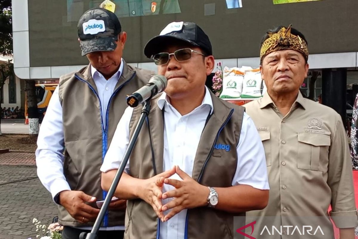 1,3 juta ton beras SPHP sampai Desember 2025 untuk kendalikan harga