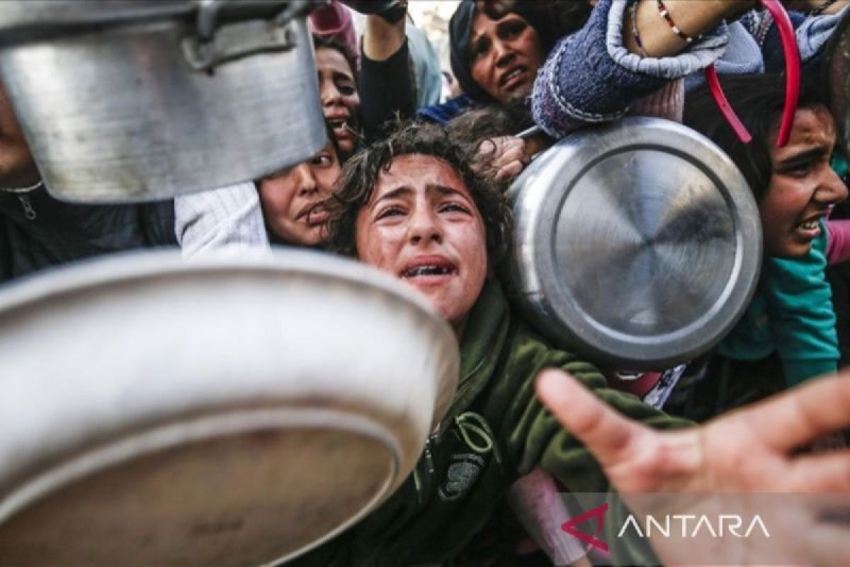 Kemenkes Ungkap: 10 Warga Gaza Meninggal Setiap Hari Karena Kelaparan