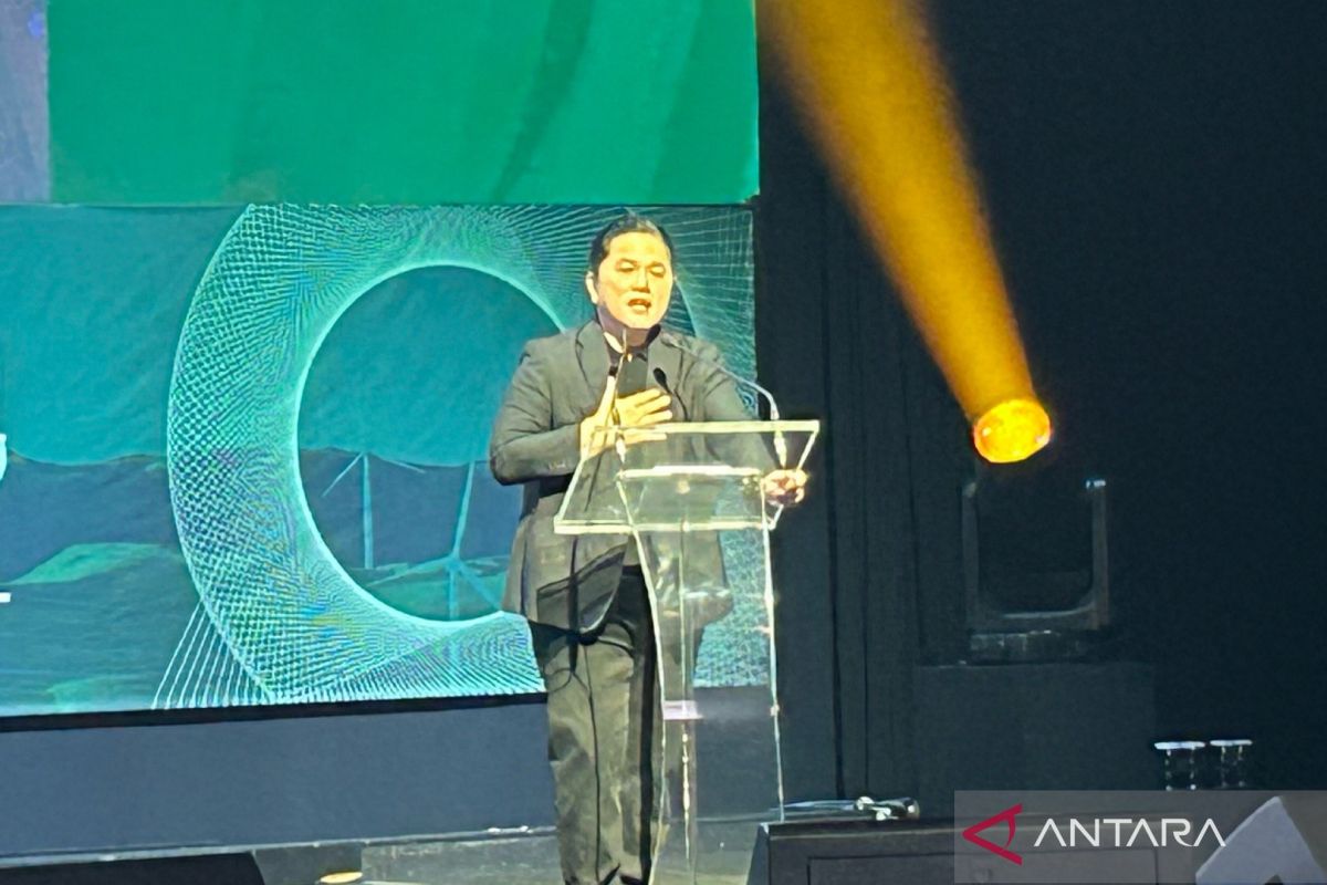 Menteri BUMN dorong pemanfaatan energi hijau untuk ketahanan energi