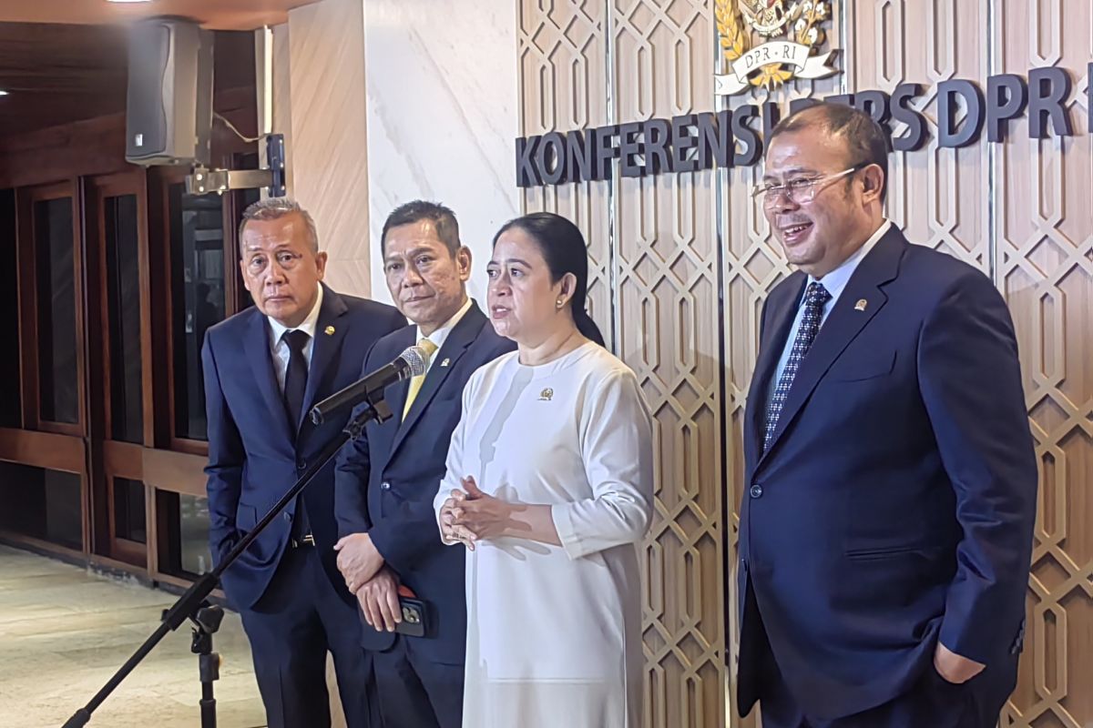 Puan: Pembahasan RUU PPRT tak terburu-buru agar tak ada yang dirugikan
