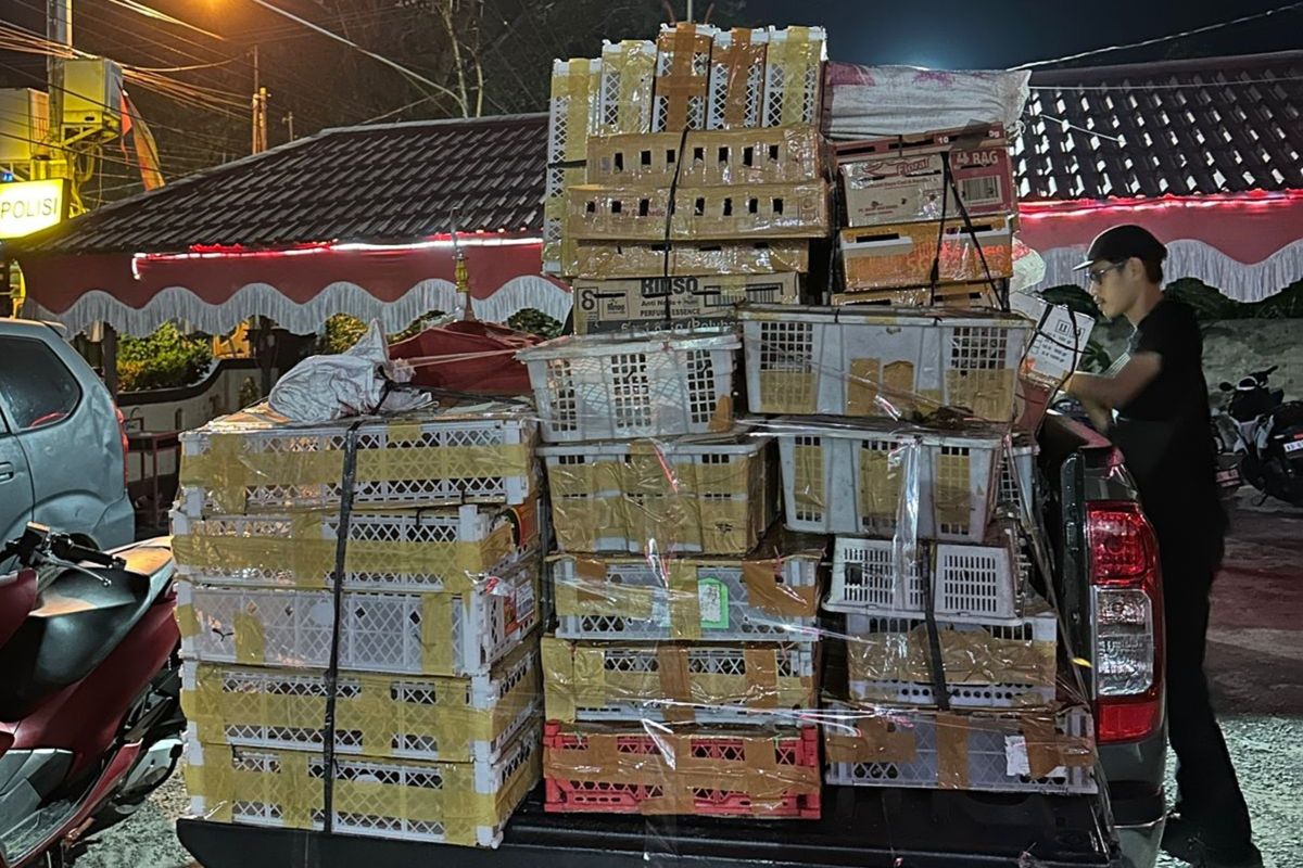 BKSDA dan polisi gagalkan penyelundupan 625 ekor burung di Pontianak