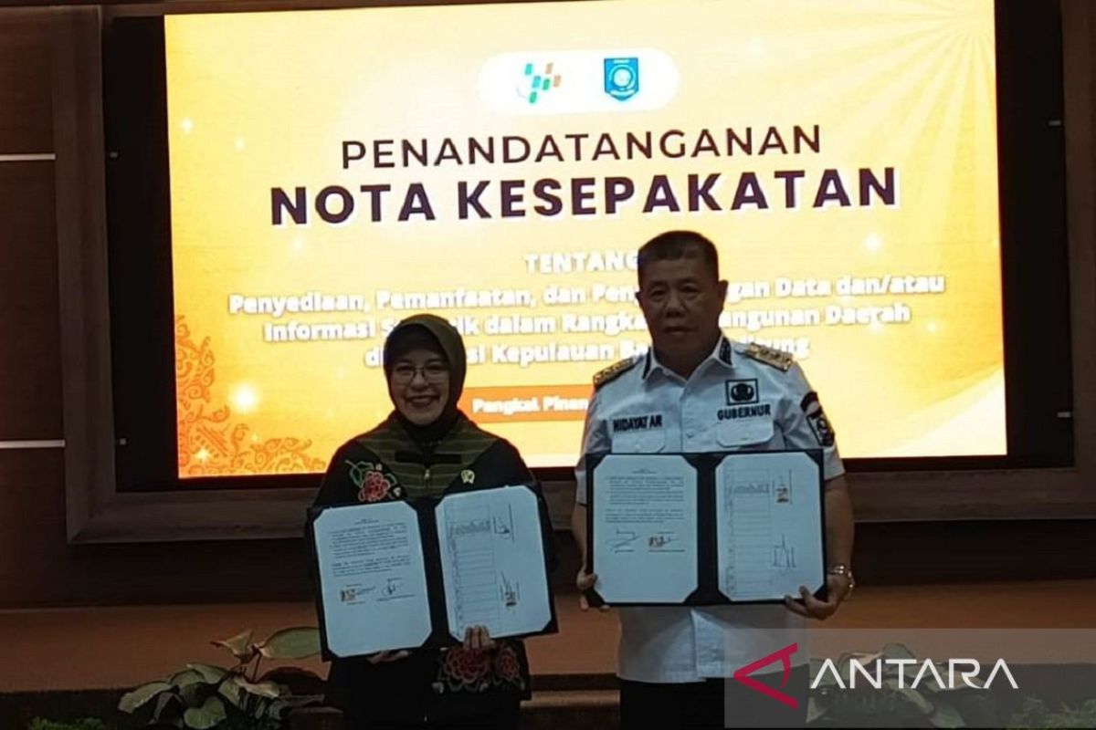 Kepala BPS: Babel memiliki struktur ekonomi unik