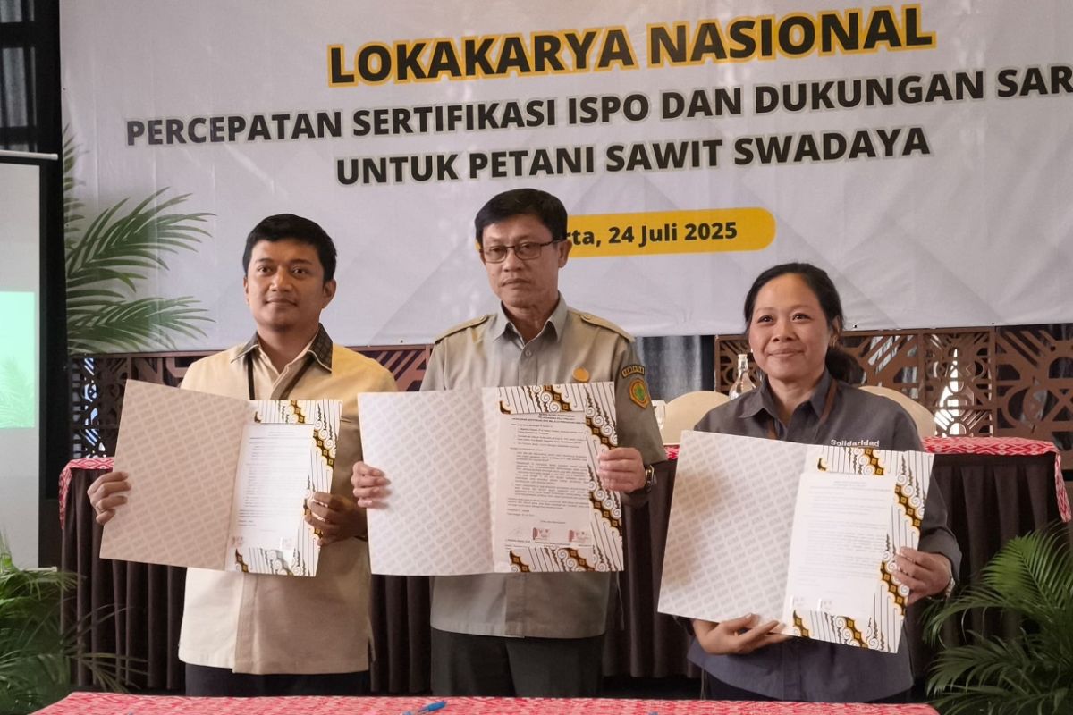 Kementan dan BPDP dorong percepatan sertifikasi ISPO petani sawit