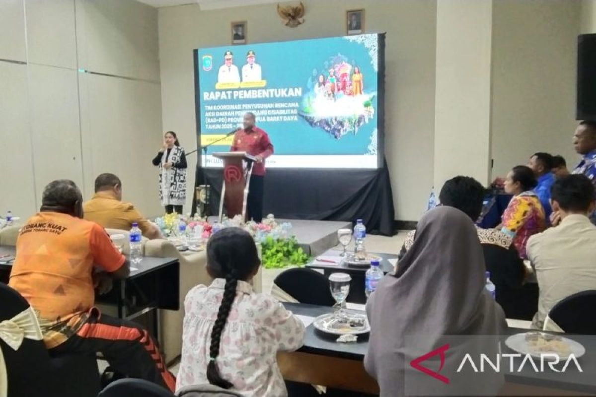 Papua Barat Daya susun rencana aksi akomodasi hak penyandang disabilitas