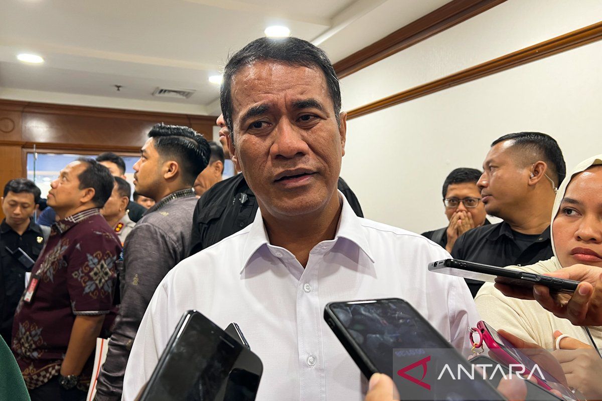 Minister lauds Riau Police's probe into faux premium rice case