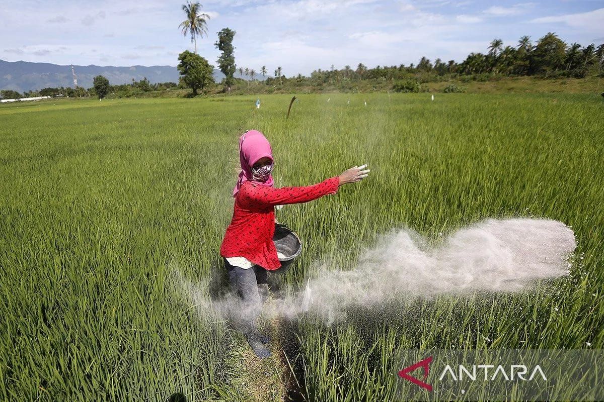 Pemerintah Aceh relokasi 1.831 ton pupuk subsidi dari Aceh Jaya