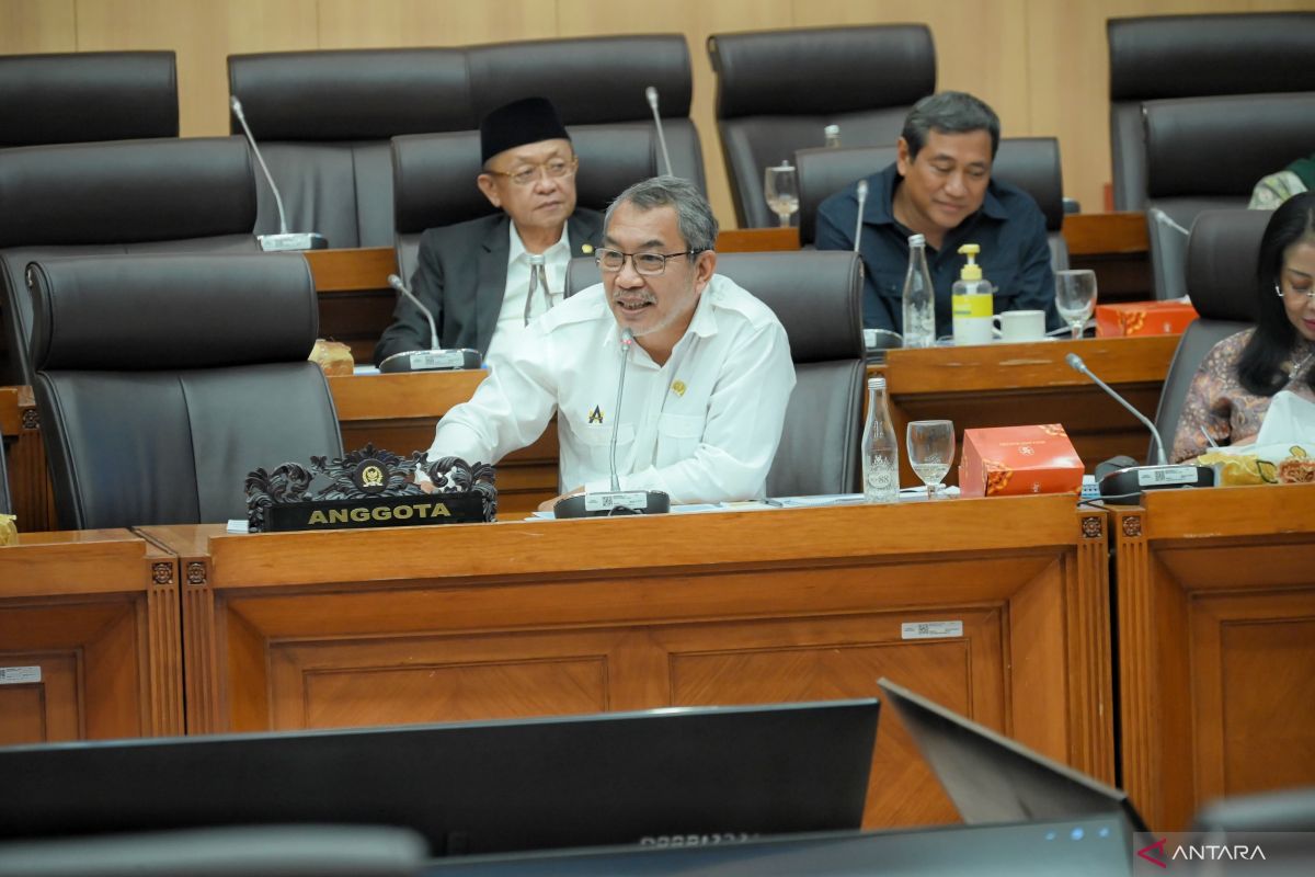 Anggota DPR apresiasi pemerintah-PLN wujudkan ketahanan energi di 3T