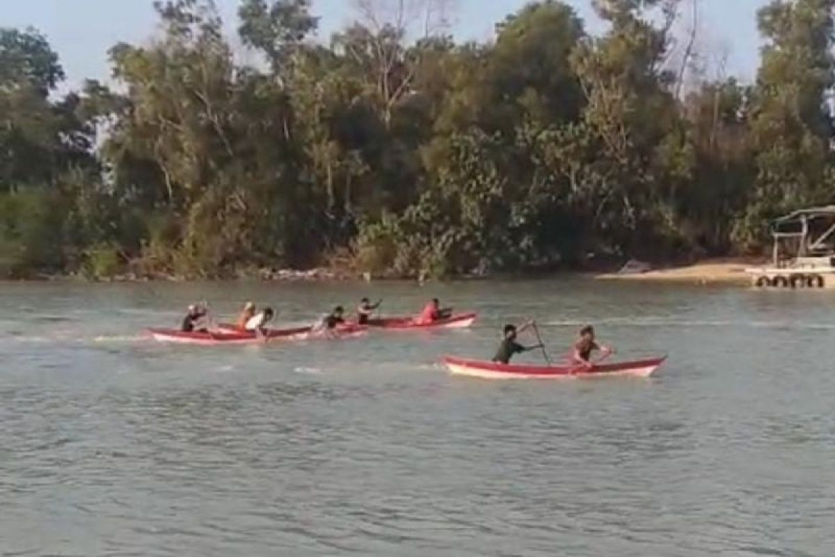 Lestarikan budaya pesisir, PT Timah dukung lomba dayung masyarakat Bangka