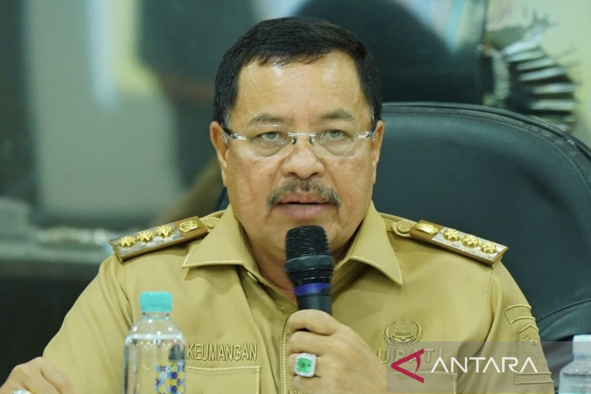Pemkab Nagan Raya terbitkan larangan lepas ternak di jalan raya, jika melanggar didenda