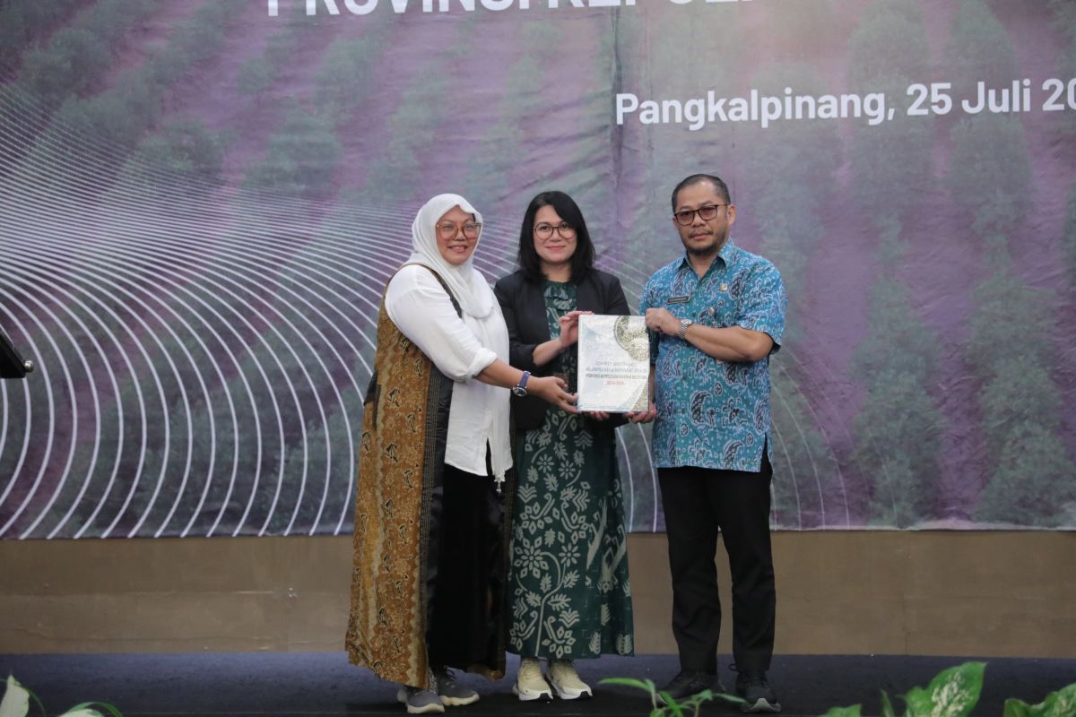 KKMD Babel rehabilitasi 66.711 hektare hutan mangrove