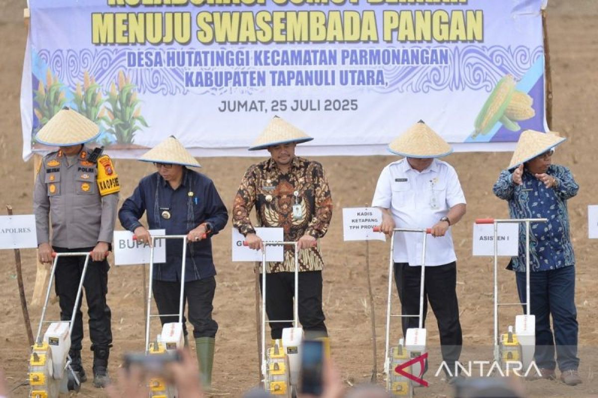 Gubernur Sumut instruksikan  pengadaan mesin pipil jagung untuk petani