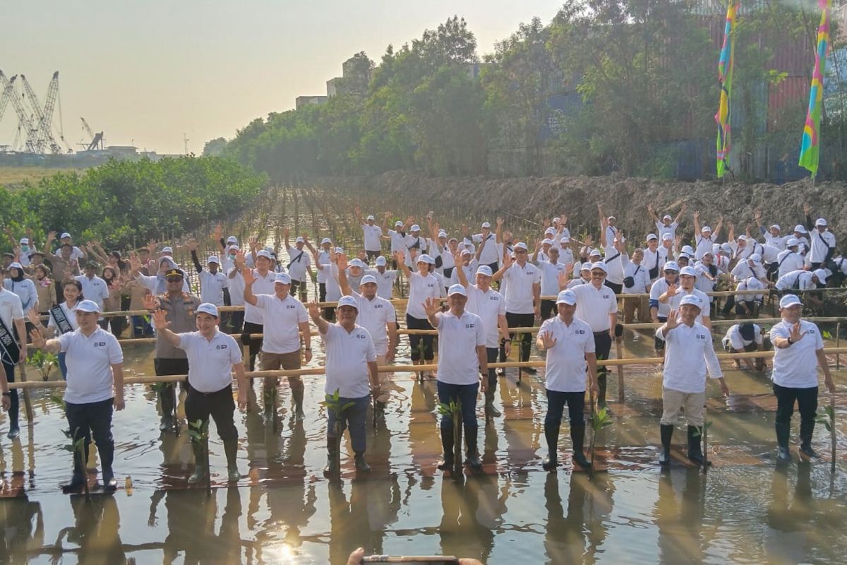 Jakarta aims to plant one km of mangrove within a year