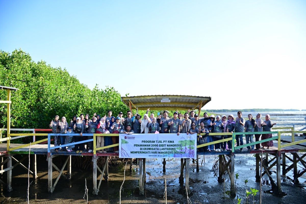 PT KIMA tanam 2.000 bibit mangrove di Ekowisata Lantebung peringati Hari Mangrove Sedunia