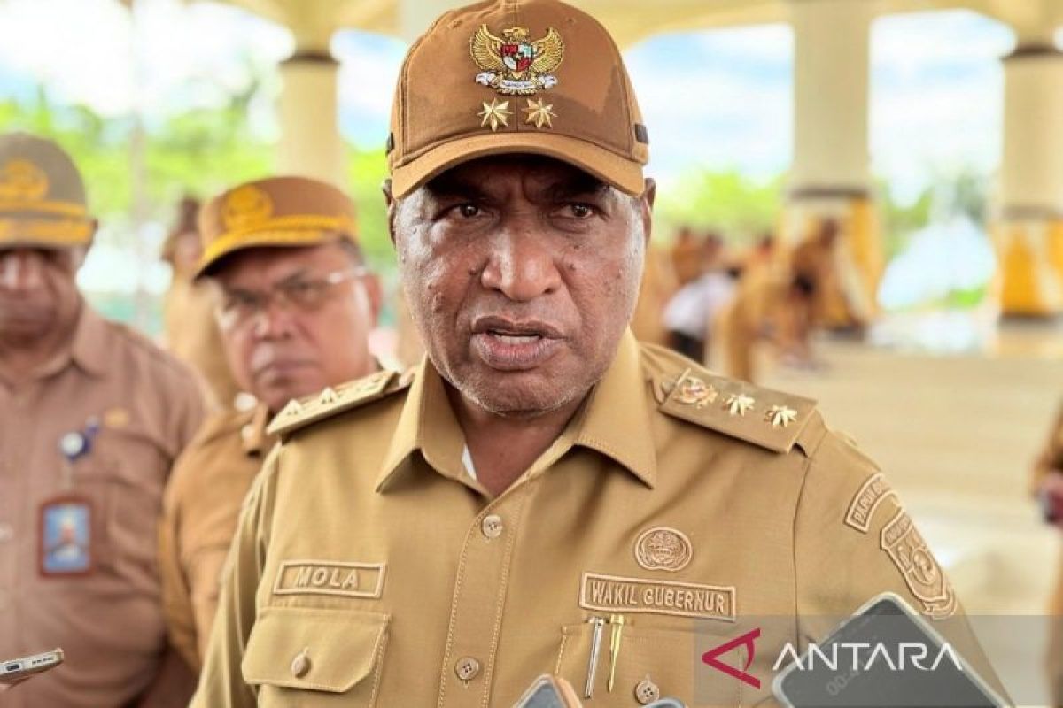 Pemprov Papua Barat tindak lanjuti temuan BPK atas laporan keuangan 2024