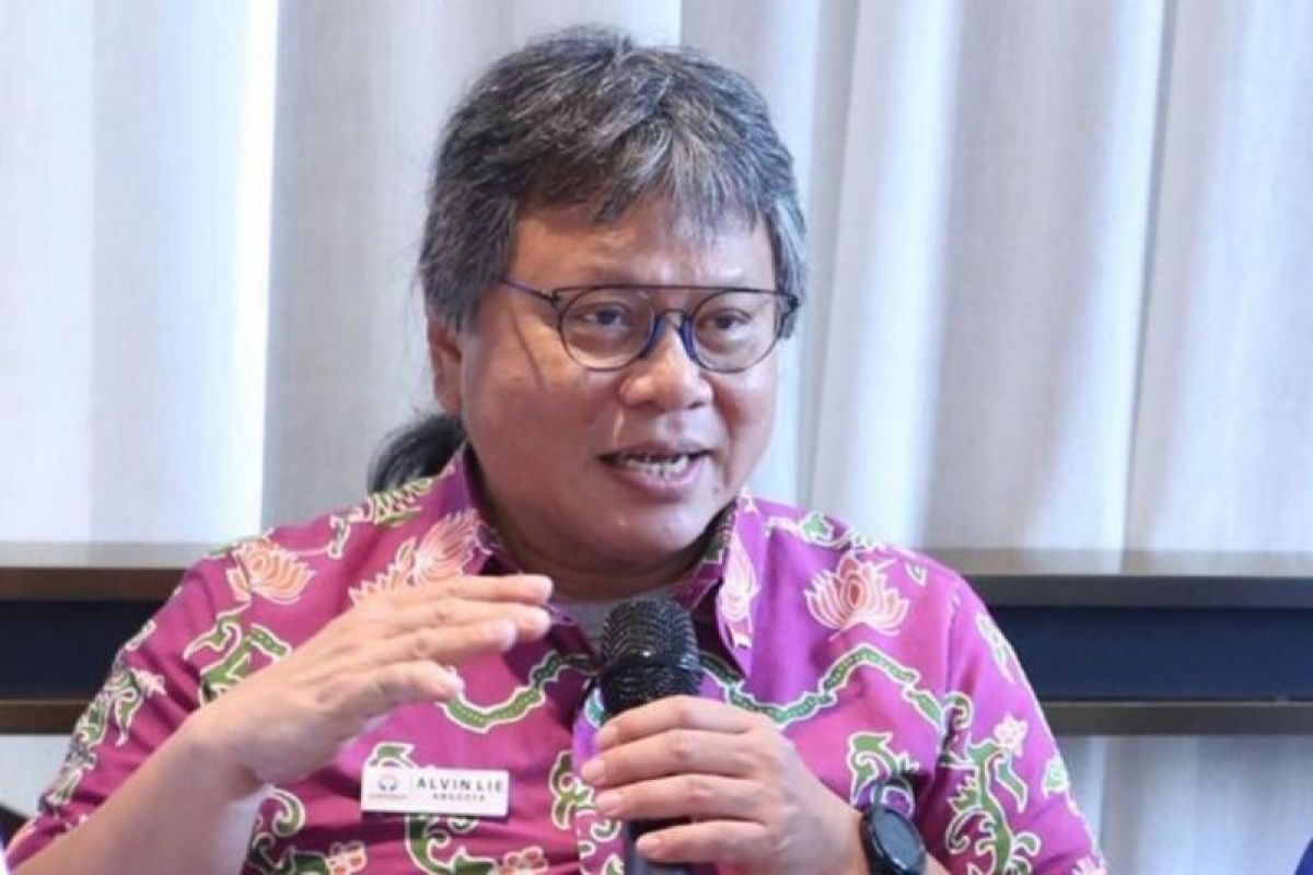 Alvin Lie sarankan aliansi, bukan merger Garuda, Citilink, dan Pelita Air