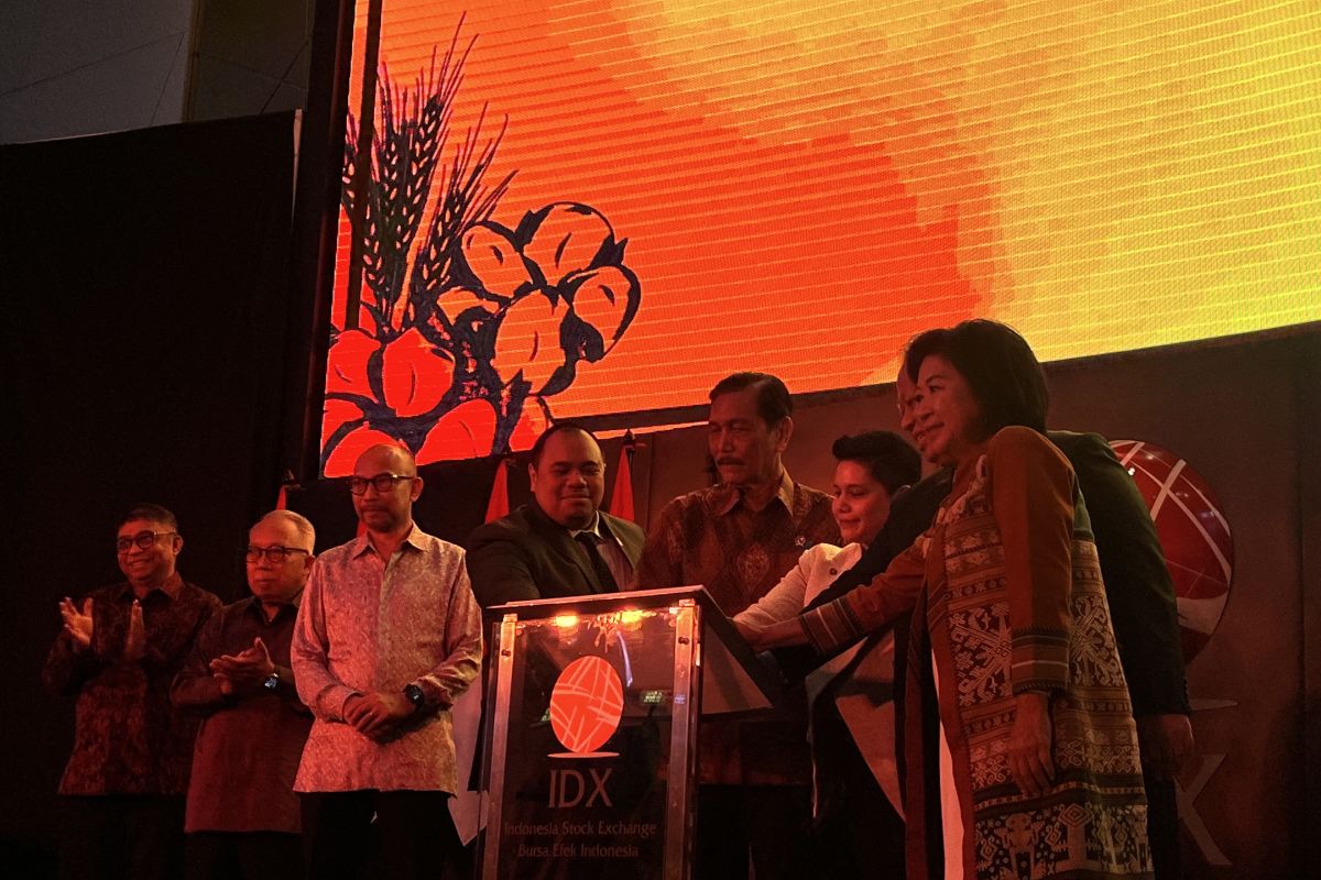 Luhut luncurkan Yayasan Padi Kapas Indonesia di Bursa Efek Indonesia