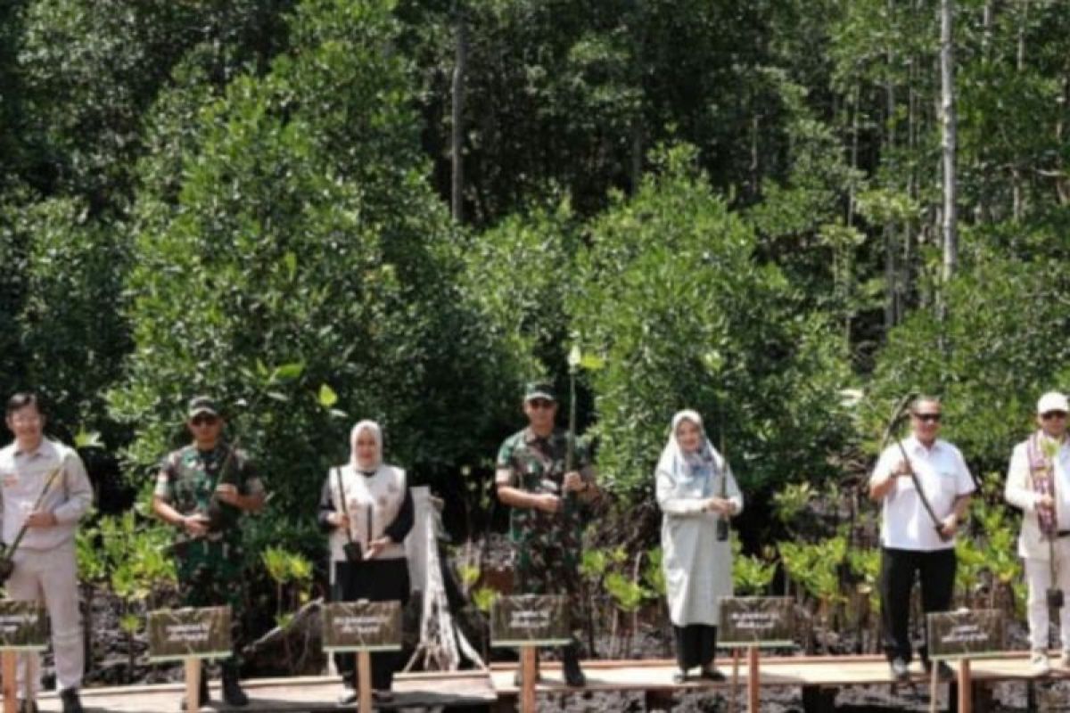 Gubernur Malut dan Pangdam tanam  mangrove di kawasan industri IWIP