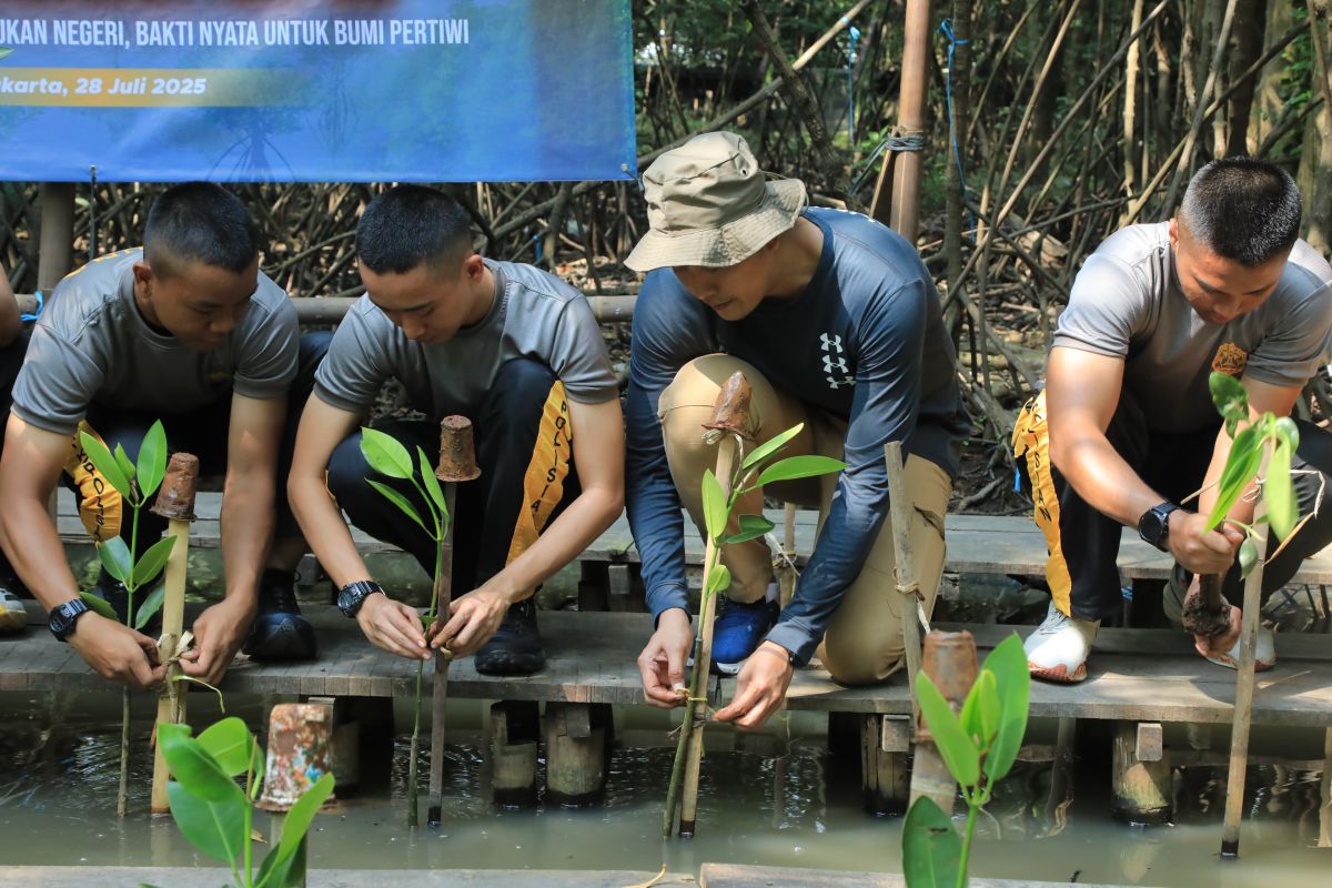 Taruna Akpol gelar aksi tanam 100 pohon bakau di Jakut