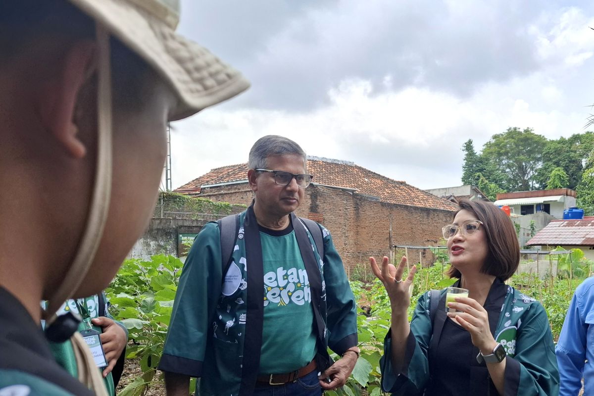 FAO sebut RI harus capai swasembada dukung ketahanan pangan dunia