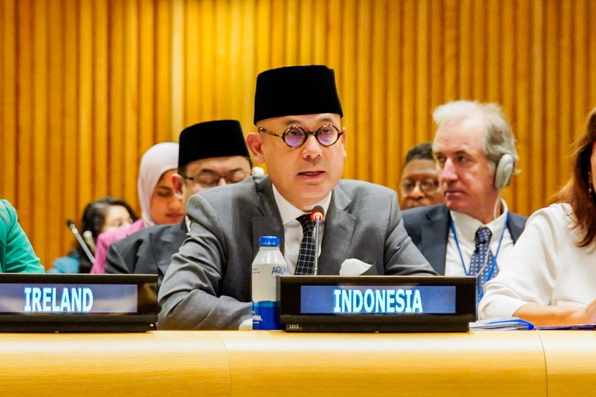 RI laporkan rekomendasi atas isu keamanan solusi dua negara di PBB