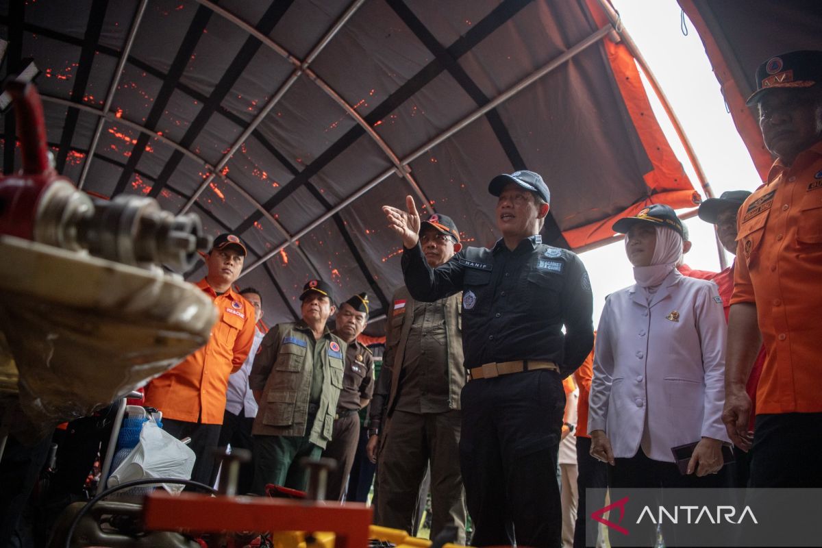 Menteri LH minta APH di Sumsel tindak tegas pelaku pembakar lahan