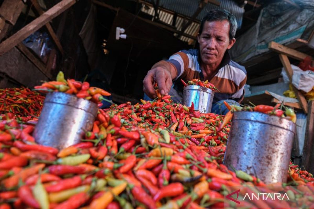 Harga cabai rawit Rp53.432 per kg, bawang merah Rp47.238 per kg