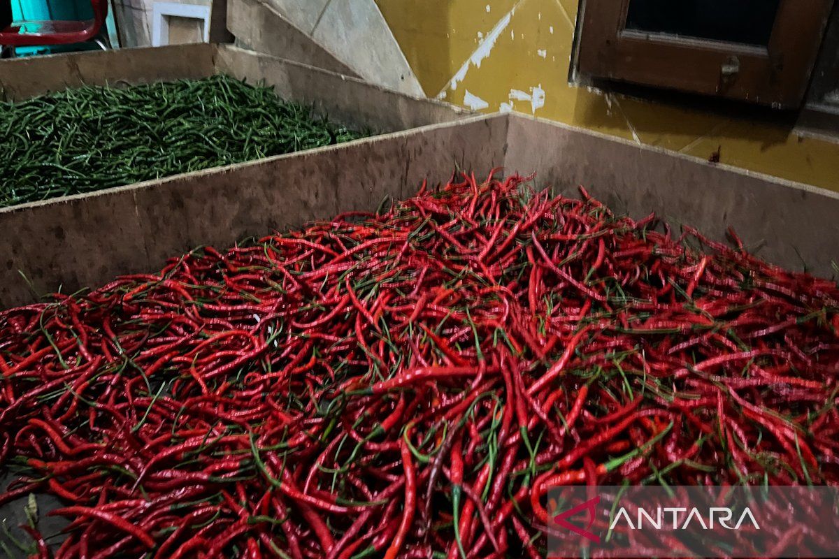 Harga pangan: Cabai rawit Rp53.432 per kg, bawang merah Rp47.238 per kg