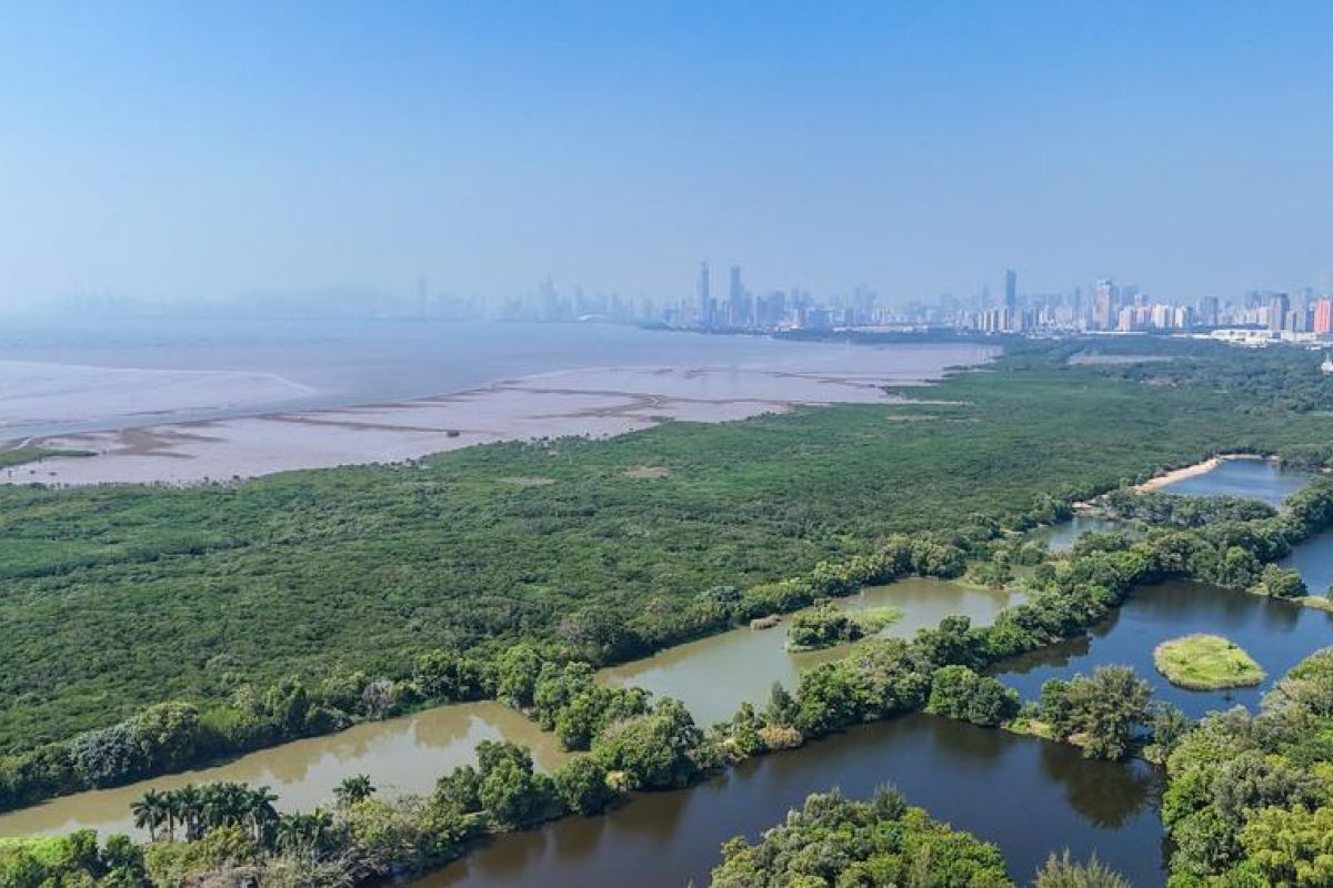China tetap berkomitmen pada konservasi lahan basah internasional