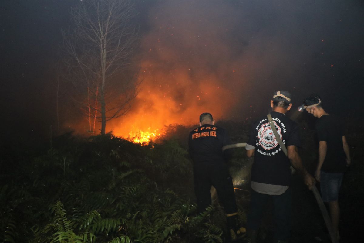 Wildfires near Singkawang Airport ravage 31 ha land: govt