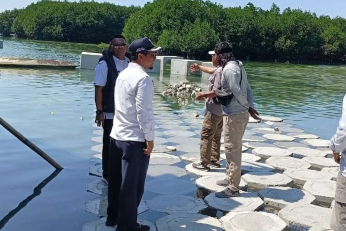 Pembangunan tanggul di Pulau Kelapa untuk mudahkan mobilitas warga