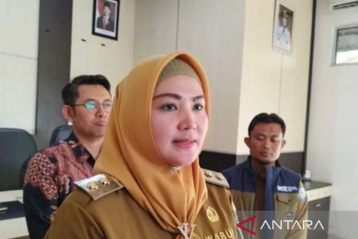 Wabup Bangka Selatan sebut sinergi antar daerah kunci kendalikan inflasi dan stabilitas harga pangan