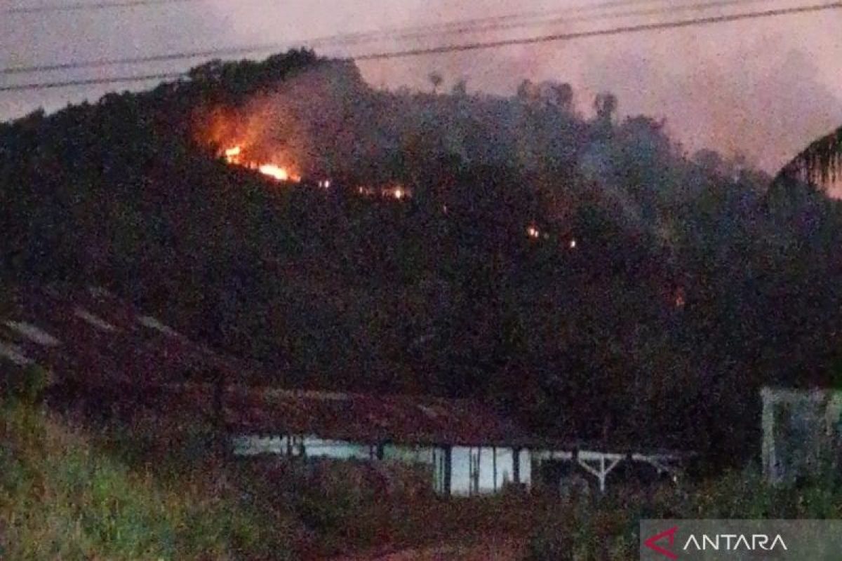 Walhi Kalbar : 8.644 titik panas, sebagian besar dalam area konsesi