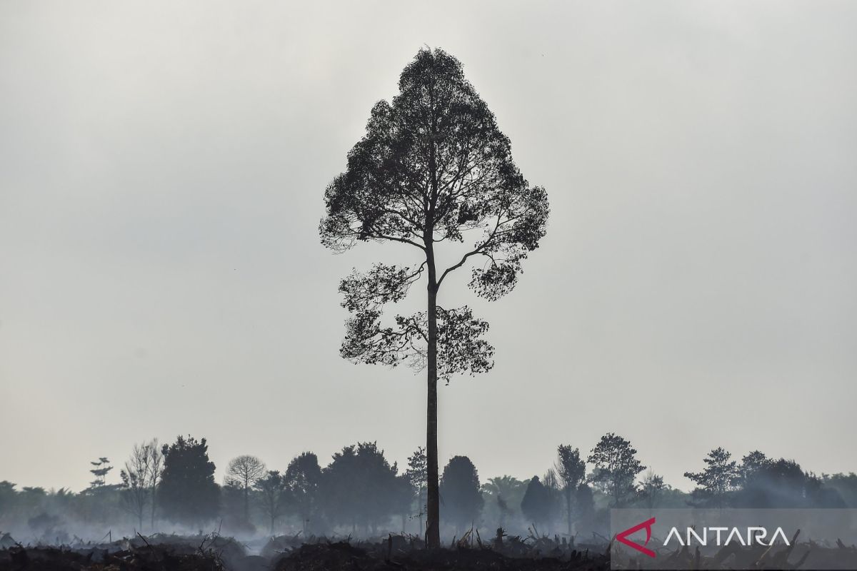 E Kalimantan residents urged to prepare for prolonged drought