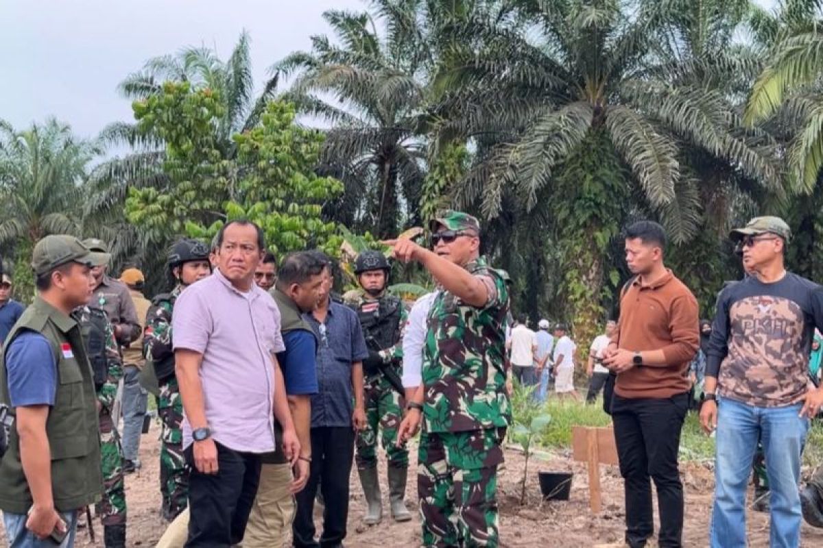 Warga serahkan 3 ribu hektare sawit di TNTN