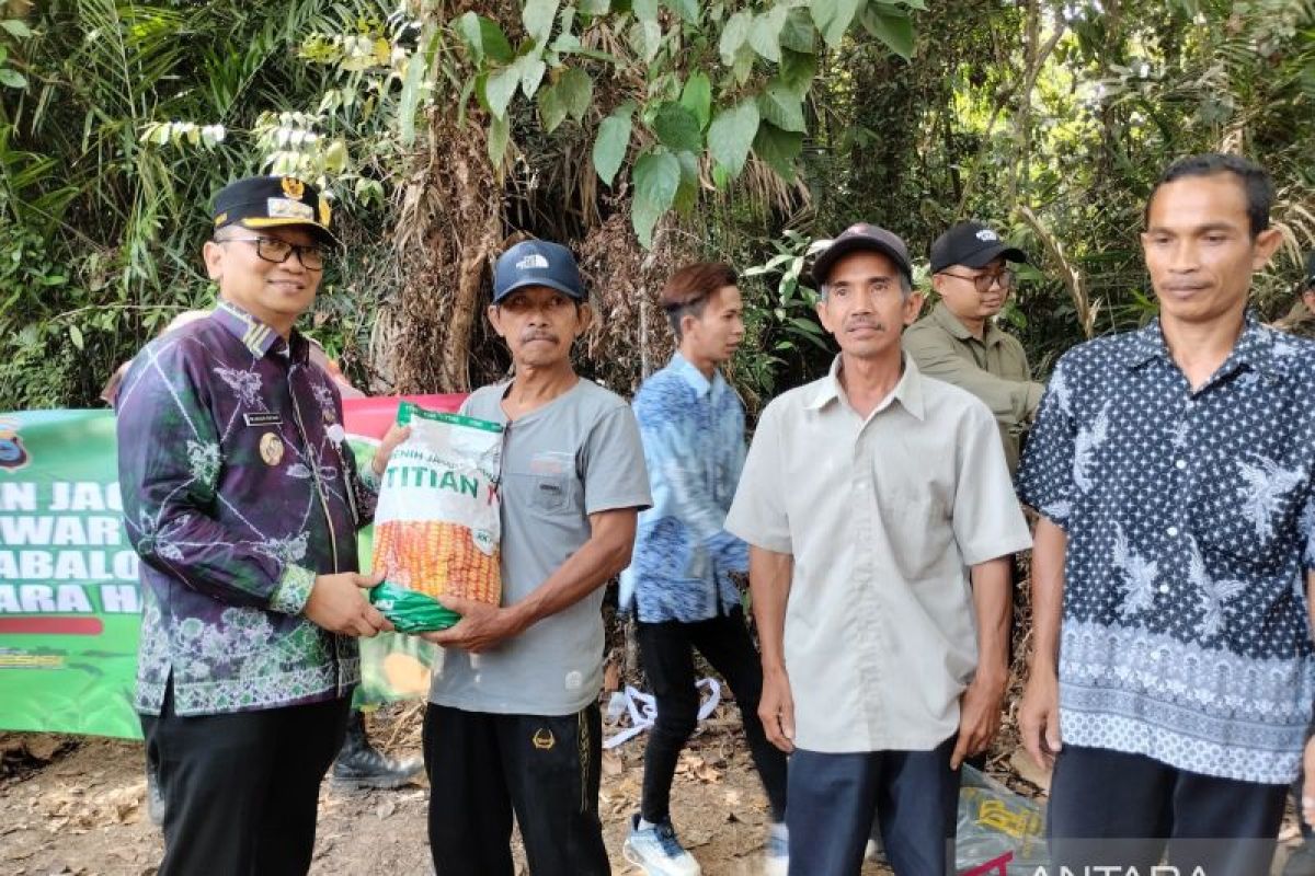 Petani Padangin kembangkan jagung pakan, Bupati Tabalong janjikan sumur bor