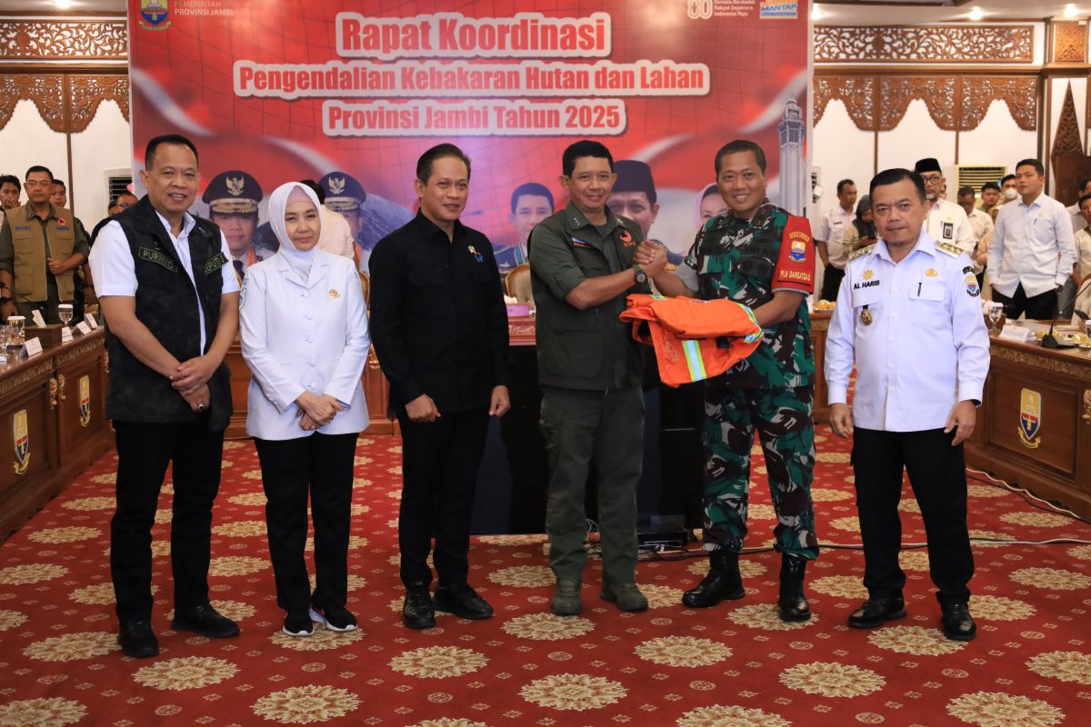 Central Kalimantan fires tougher to control than NTT: BNPB
